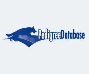 Pedigree DB